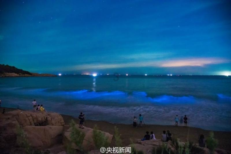 时尚红人莎莉